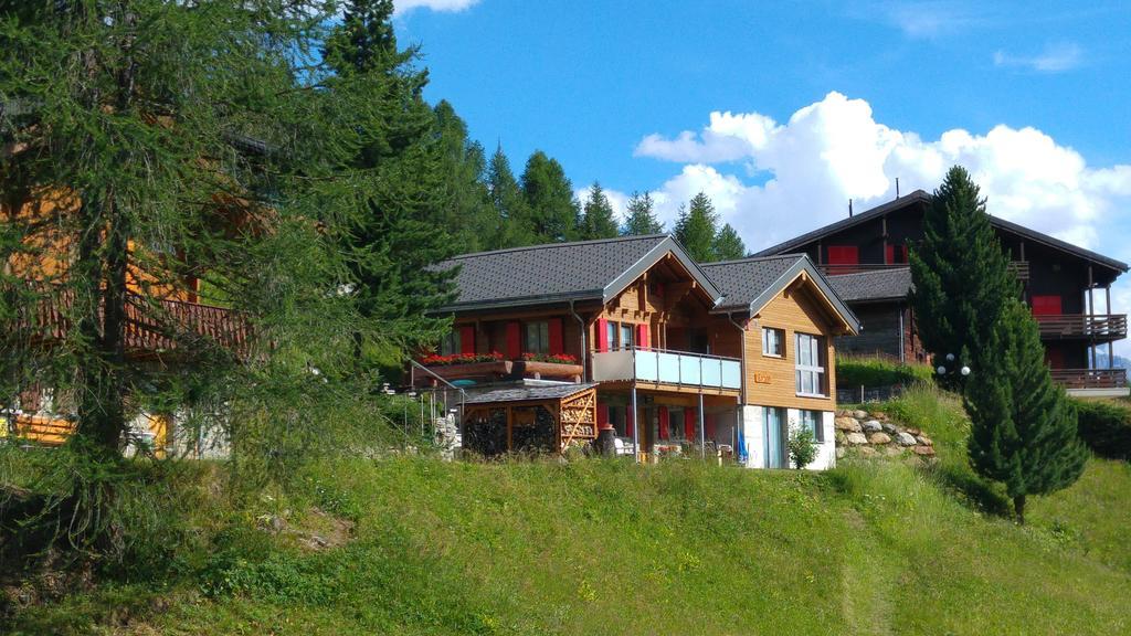 Chalet Enzian Riederalp Ngoại thất bức ảnh