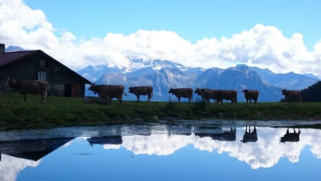 Chalet Enzian Riederalp Ngoại thất bức ảnh